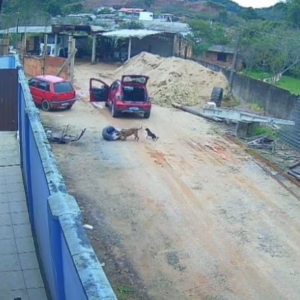 VÍDEO: homem é atacado por pitbull em SC | Divulgação Rádio Clube