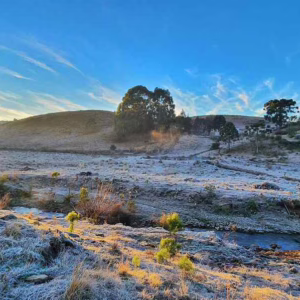 Serra Catarinense amanhece com temperaturas negativas e geada neste domingo | Foto: Mycchel Legnaghi