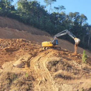 Município do Sul realiza recuperação de área degradada há décadas