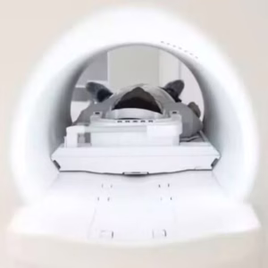 Homem com cordão de metal morre após ser puxado para máquina de ressonância magnética - Foto: Reprodução / Contigo
