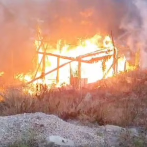 Sete animais morrem e casa fica destruída após incêndio. - Foto: Reprodução/SBT News