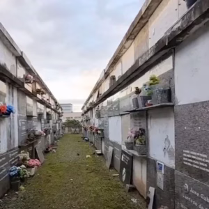 Mulher é flagrada carregando partes de cadáver pelas ruas de cidade catarinense |  Imagens: Marazul News