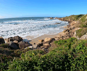 Cidade de SC tem um mês para regulamentar área ambiental em praia. | Foto: reprodução. 