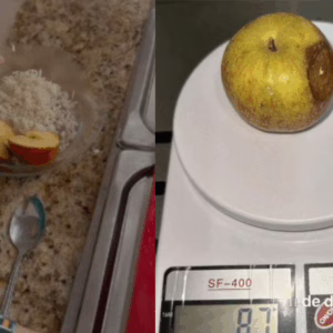 Cadê a merenda? Inquérito aponta suspeitas em contrato milionário em cidade de SC | Divulgação 