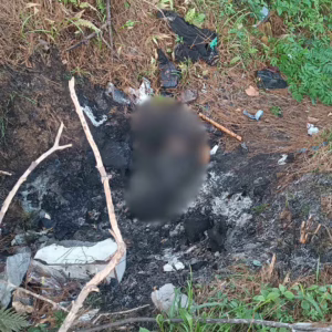 Cachorro morre queimado e chamas atingem vegetação em SC | Foto: BV Ilhota/Reprodução