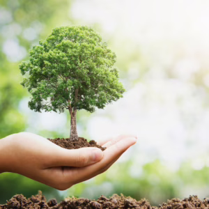 Vamos falar sobre sustentabilidade? Não é moda, é sobrevivência
