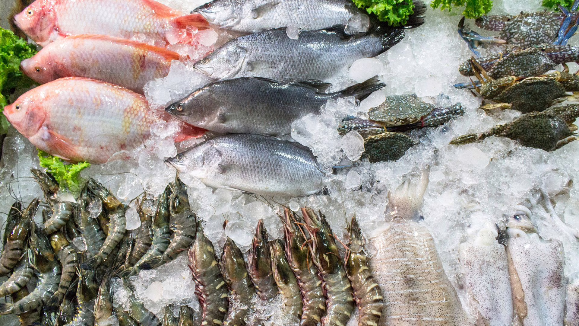 Após anúncio de tarifas de Trump, pescados do Brasil deixam de embarcar para os EUA. – Foto: Imagem Ilustrativa/Canva/Reprodução