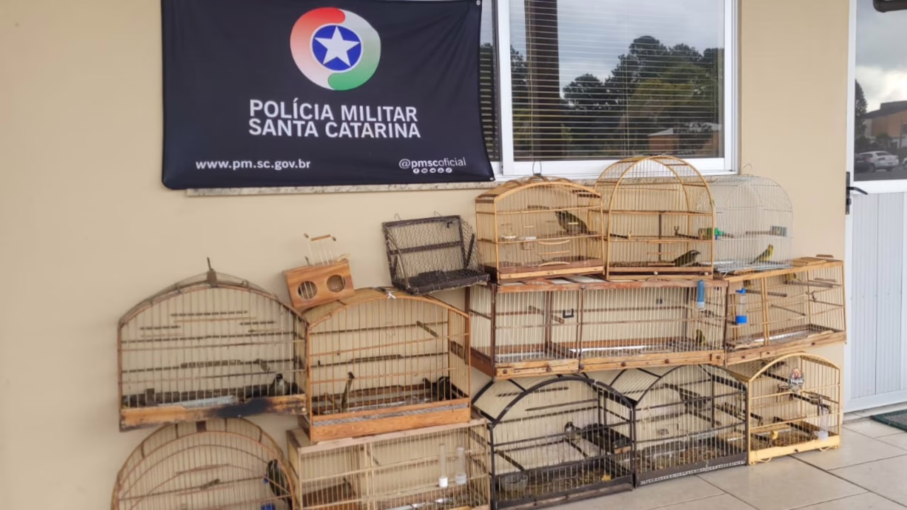 A ação foi conduzida pelo Comando de Polícia Militar Ambiental
