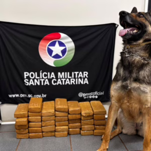Adolescente é flagrado transportando mais de 20 kg de maconha em ônibus de SC | Foto: PM/Reprodução