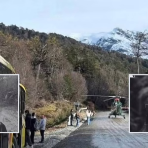 Quem são os catarinenses mortos em acidente no Chile | Foto: Redes sociais/Reprodução