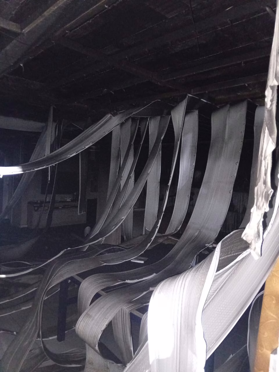 Cachorros salvam família ao perceber incêndio em máquina de lavar em SC