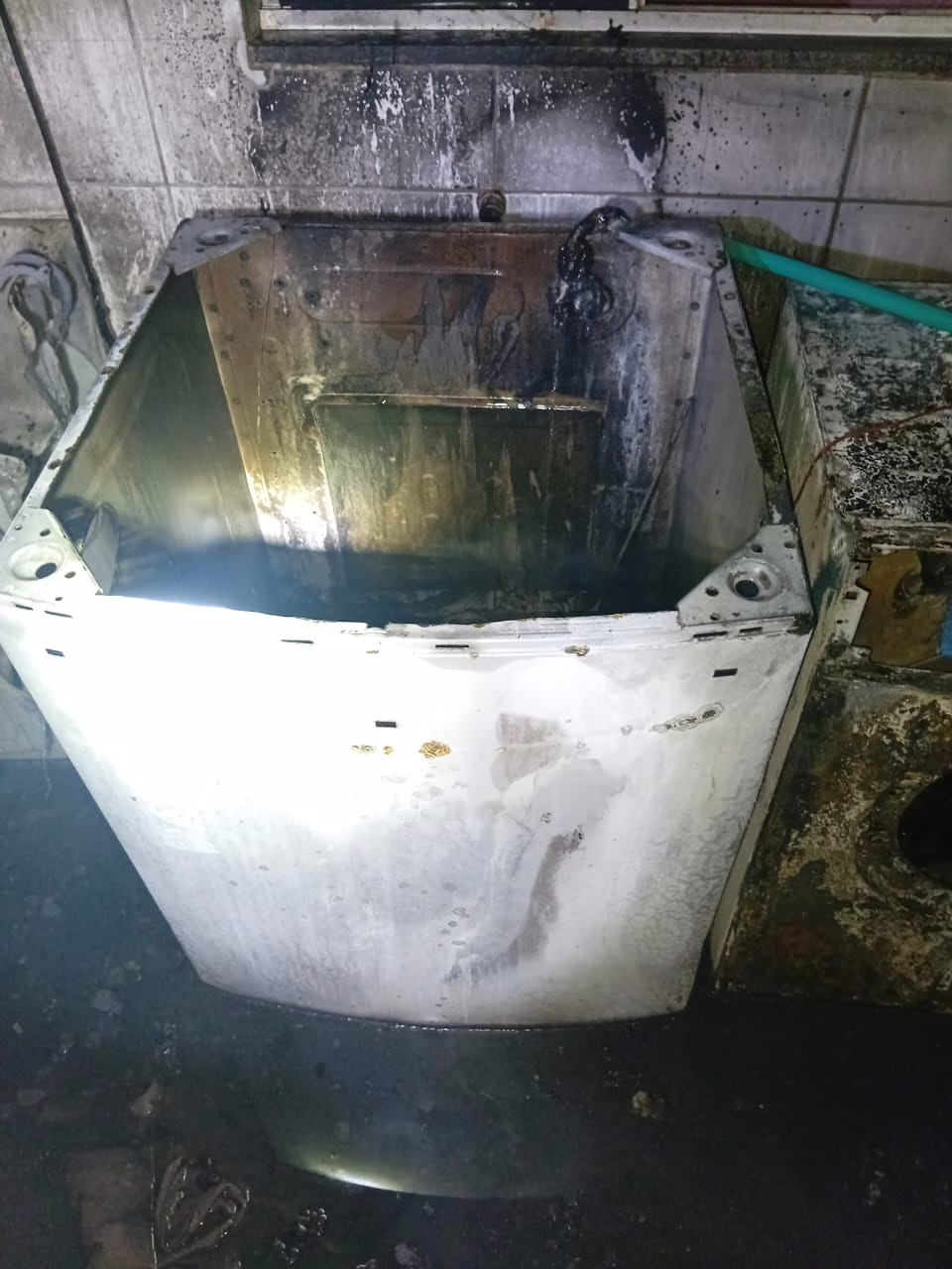 Cachorros salvam família ao perceber incêndio em máquina de lavar em SC
