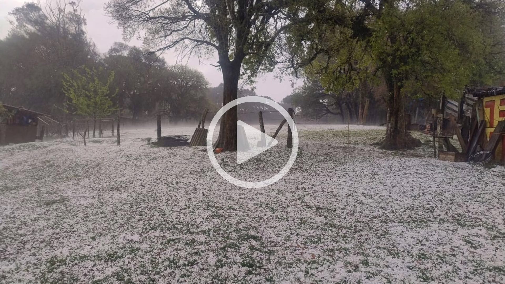 VÍDEO: chuva de granizo deixa paisagem branca e causa estragos; veja onde | Foto: Massa.com.br/Reprodução
