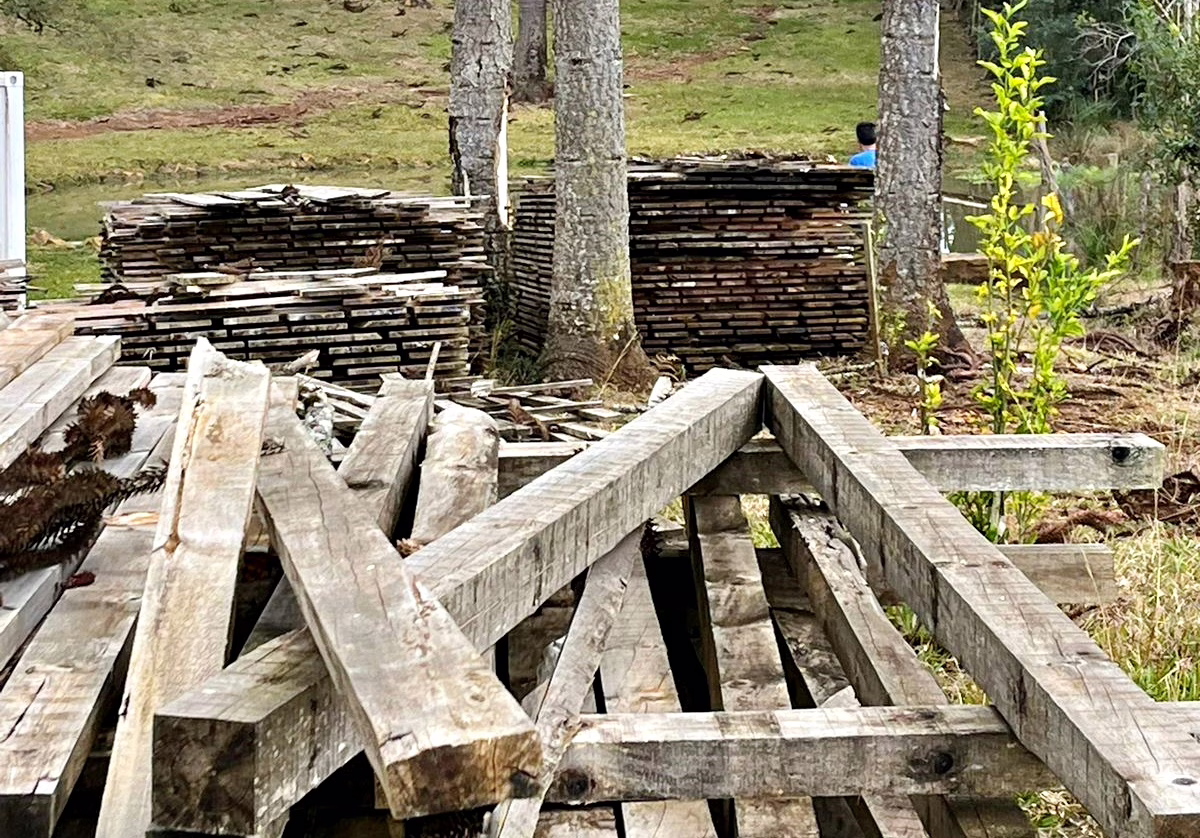 Madeira de corte ilegal será usada para construir moradias em Lages (1)