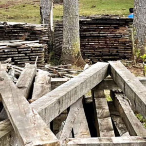 Madeira de corte ilegal será usada para construir moradias em Lages | Foto: Divulgação PML