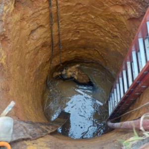 Cavalo cai em poço de sete metros e mobiliza bombeiros em SC