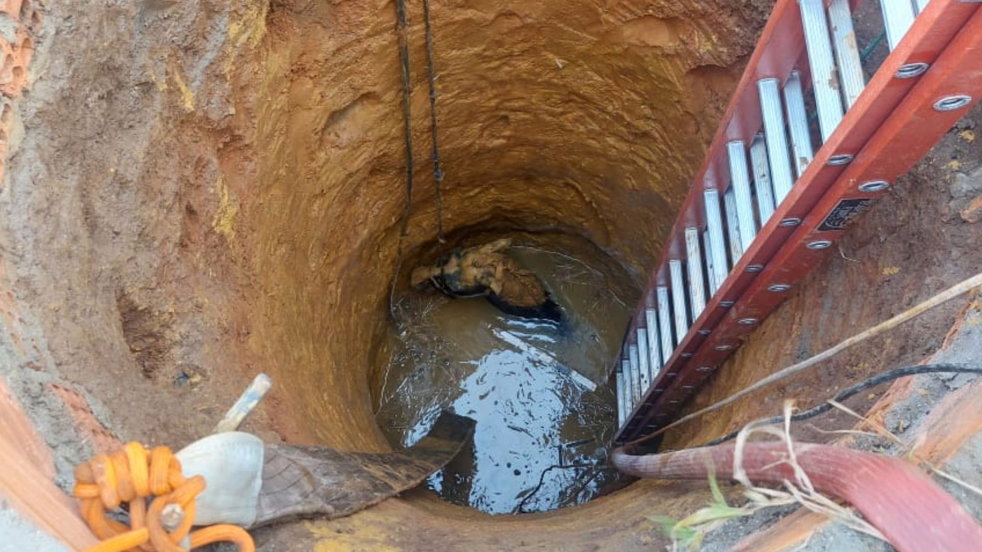 Cavalo cai em poço de sete metros e mobiliza bombeiros em SC