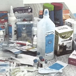 Dono de hospital veterinário é indiciado por maus-tratos a animais e medicamentos vencidos em SC | Imagem: Polícia Civil de SC