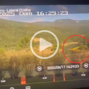 Vídeo mostra momento em que avião cai na Serra de SC; assista | Foto: Cedida ao SCC10/Reprodução