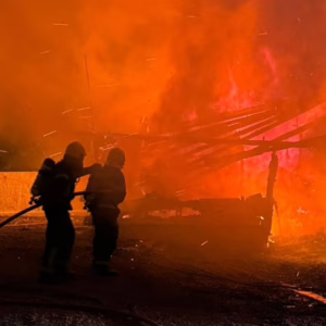 Família é resgatada durante incêndio em Florianópolis; 'temperatura chegou a 650º' | Foto: PM/Reprodução