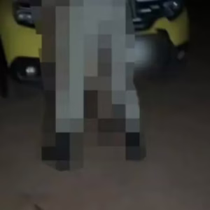 Policial flagrado fazendo sexo em viatura será investigado; veja o que se sabe | Foto: Internet/Reprodução