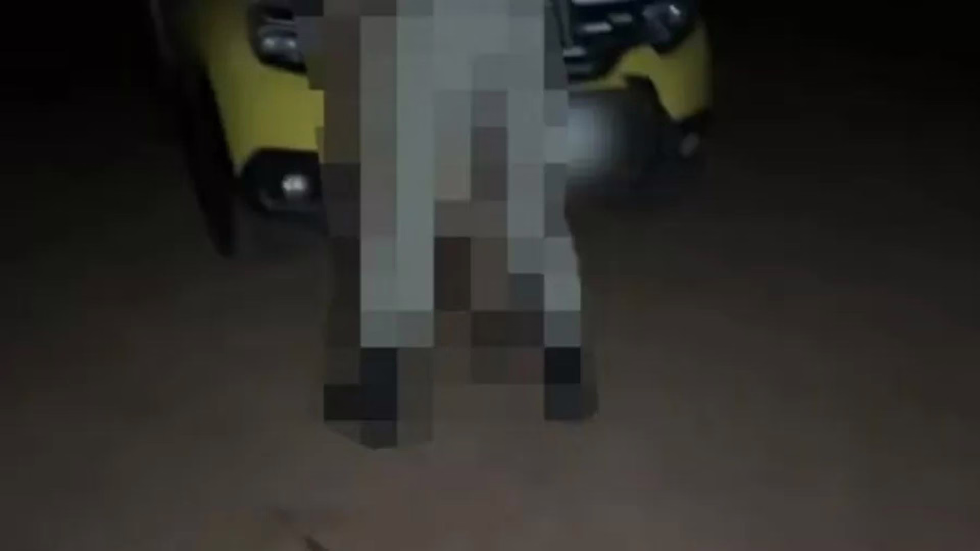 Policial flagrado fazendo sexo em viatura será investigado; veja o que se sabe | Foto: Internet/Reprodução