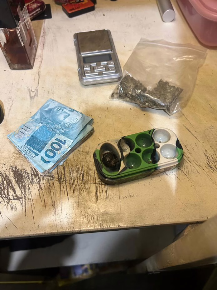 Pés de maconha são encontrados em balde e jovem acaba preso em SC