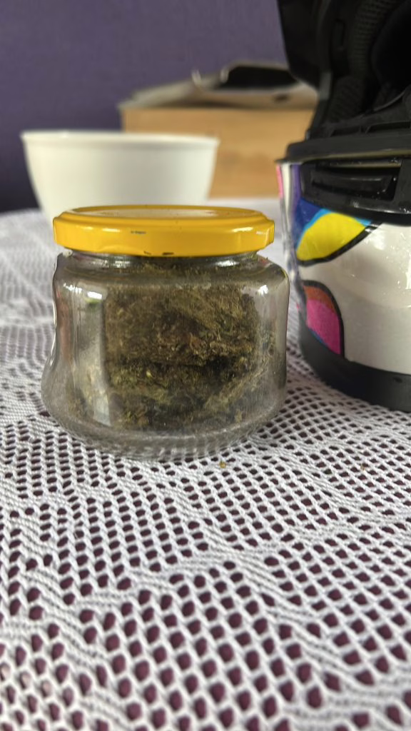 Pés de maconha são encontrados em balde e jovem acaba preso em SC