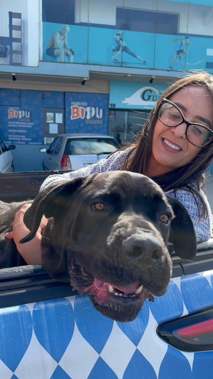 'Cãominhada' encerra programação do aniversário de Navegantes