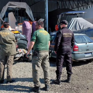Agentes do Ibama e da PF durante a Operação Pirapuã, em SC - Foto: Divulgação/Ibama/SC


