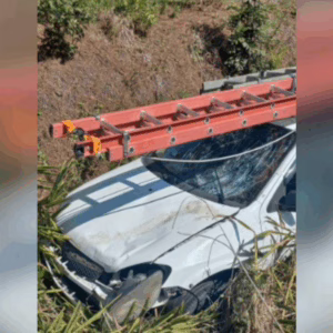 Foto: Reprodução.