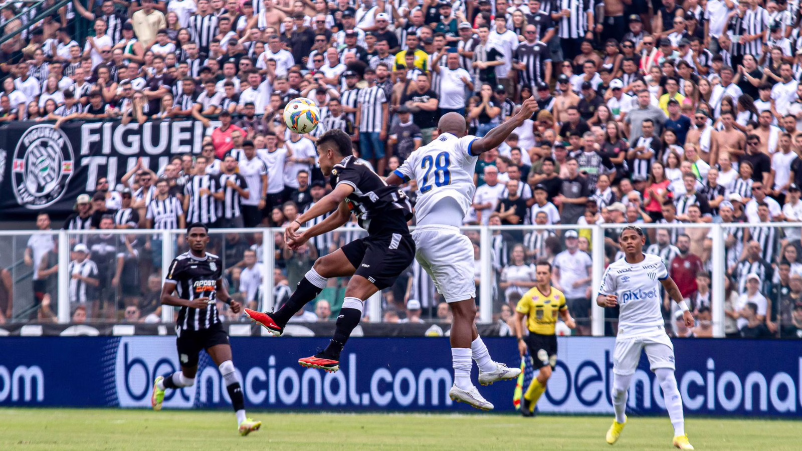 Avaí aposta na base e Figueirense busca redenção na Copa Santa Catarina.| Foto: Patrick Floriani/FFC