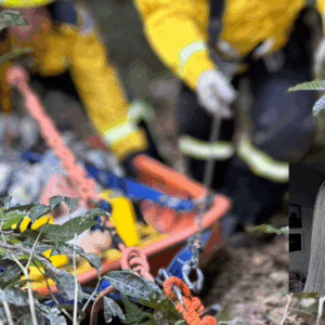 Piauiense morre dias após queda em ribanceira de SC - Imagem: reprodução