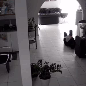 Câmera flagra homem se arrastando pelo chão para furtar salão de beleza em SC | Foto: Reprodução