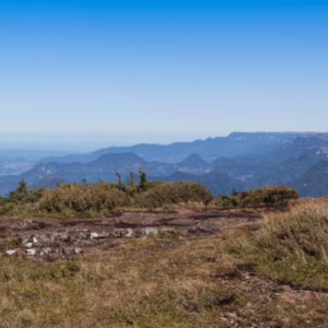 Gastos de turistas na Serra Catarinense crescem 26% na temporada de inverno | Foto: divulgação Fecomércio