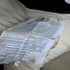 Foto: SBT News/Reprodução