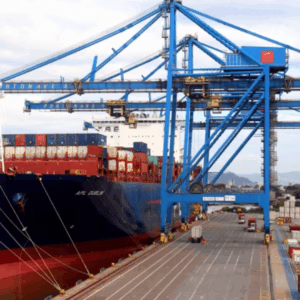 Exportações de SC para os EUA caem quase 20% em agosto, mas estado cresce no comércio global | Foto: Portonave/Divulgação