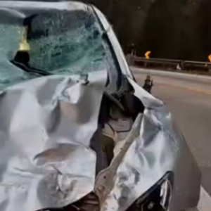 Motocicleta fica destruída e homem morre em grave acidente na BR-282 em SC | Foto: Portal Agora Floripa/Reprodução