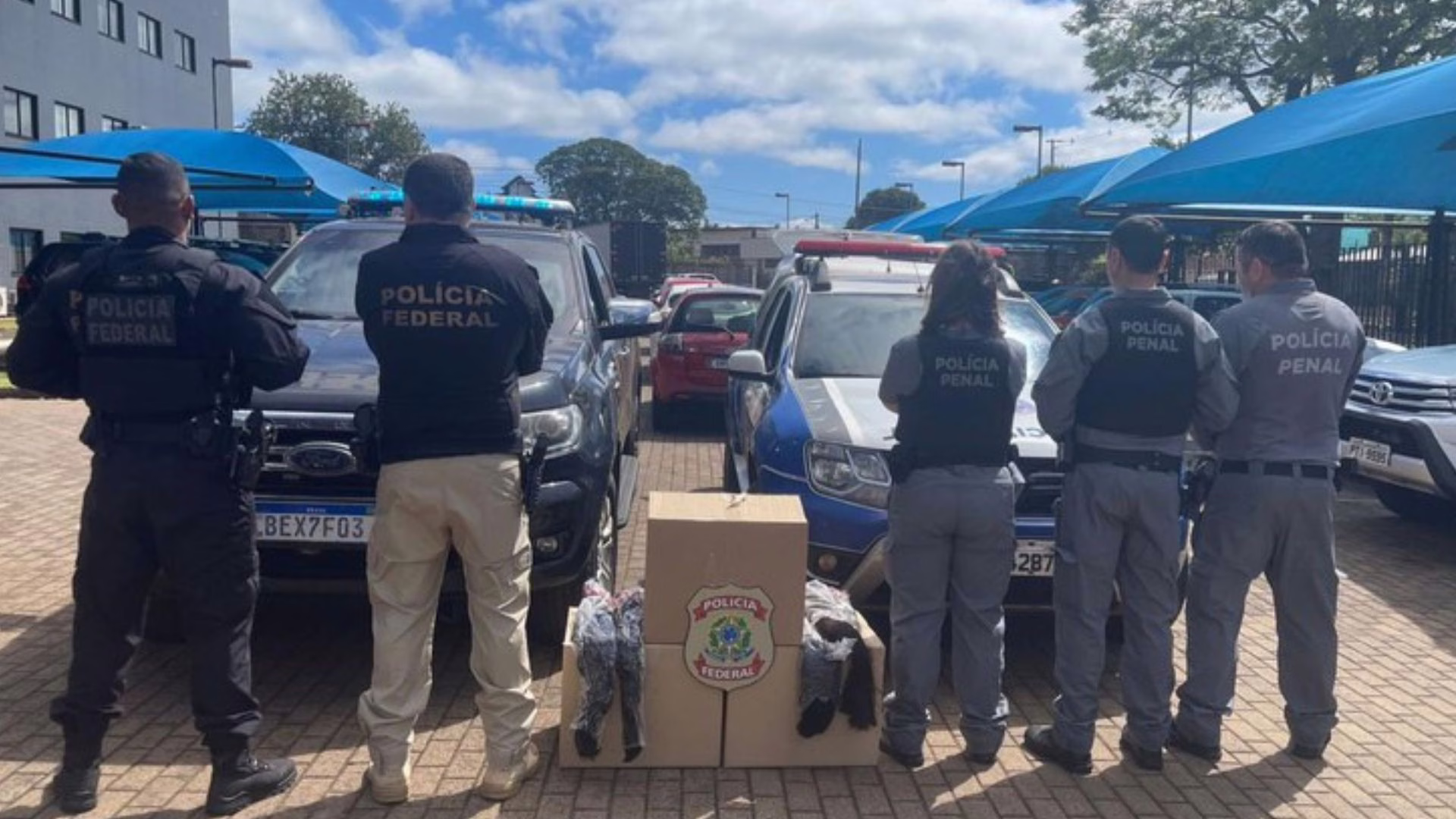 Polícia Federal do Paraná doa 150 kg de cabelo apreendido para pacientes com câncer – Imagem: reprodução/ PF