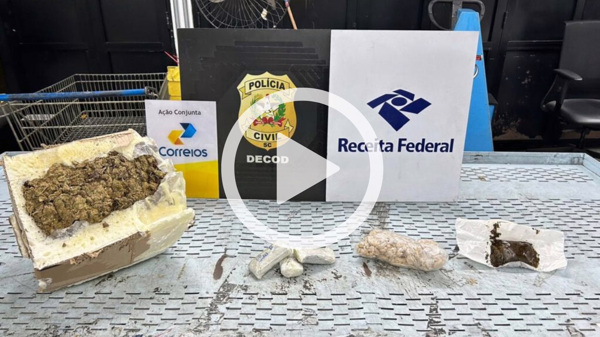 Cães farejadores ajudam Polícia Civil a localizar drogas em encomendas de SC | Foto reprodução PCSC Cães farejadores ajudam Polícia Civil a localizar drogas em encomendas de SC | Foto reprodução PCSC