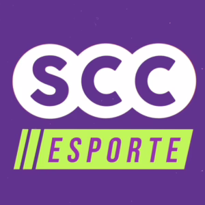 Série A, B, C e D: confira os resultados e o desempenho dos clubes de SC