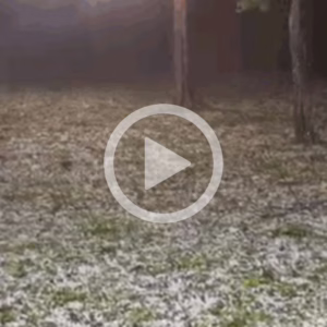 Possível tornado pode ter atingido o Extremo-Oeste de SC | Foto: Redes sociais/Reprodução