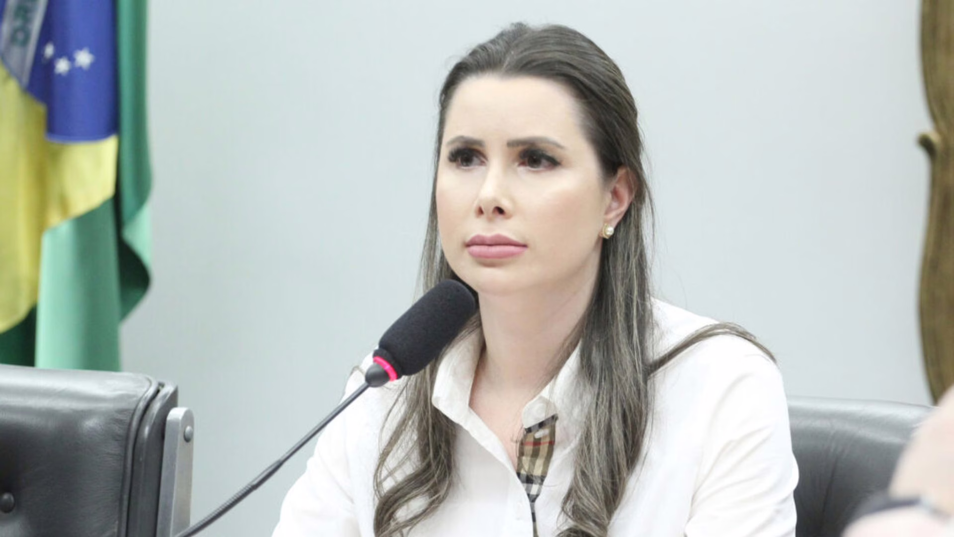 Deputada de SC renuncia cargo de liderança em favor de Eduardo Bolsonaro | Foto: Vinicius Loures/Câmara dos Deputados/Reprodução