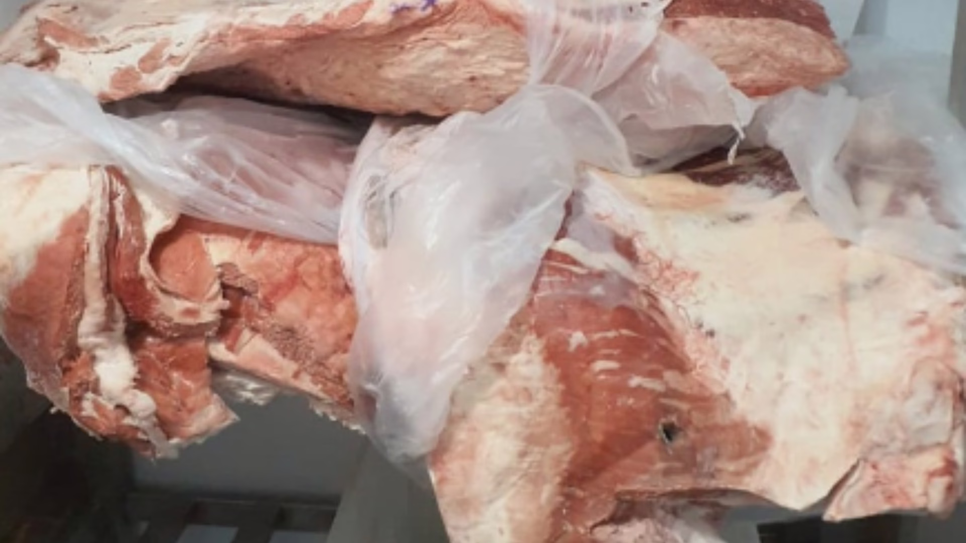 Mais de 900 quilos de alimentos impróprios para consumo são apreendidos durante operação em SC | Imagem: MPSC