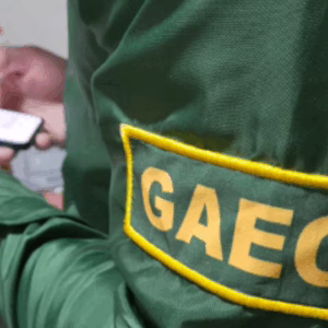 Operação “Cartão Vermelho” mira fraudes em falsas peneiras de futebol | Imagem: MPSC