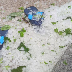 Temporal com granizo em São Miguel do Oeste; veja imagens