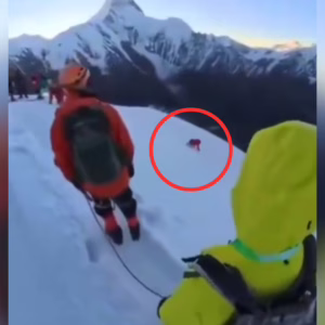 VÍDEO: homem morre ao tirar selfie, se desequilibrar e despencar de montanha | Foto: Redes sociais/Reprodução