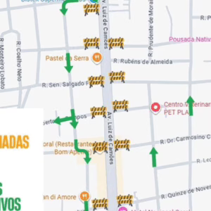 Primeiro desfile cívico da semana da Pátria acontece neste sábado em Lages; atenção para alterações no trânsito