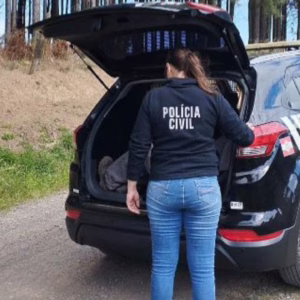 Polícia Civil prende homem por descumprimento de medida protetiva em Lages | Divulgação PCSC
