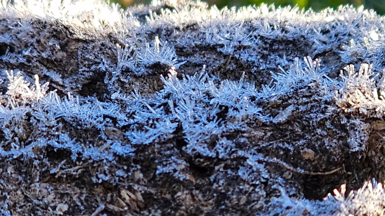 Serra Catarinense amanhece com temperaturas abaixo de zero